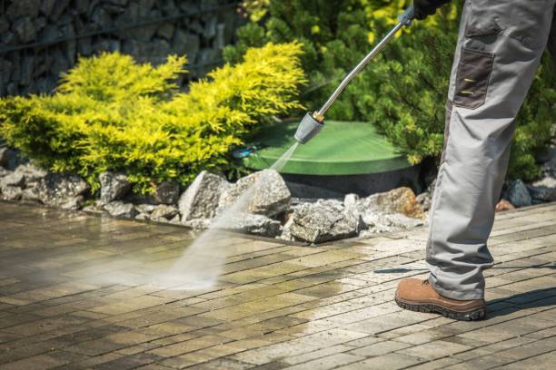 Best Roof Washing  in Capitan, NM