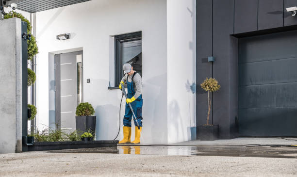 Best Driveway Pressure Washing  in Capitan, NM